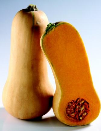 courge_butternut.jpg