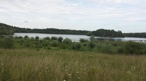 Beautiful Days chez Lucie Jacob 09-08-2014 (87)