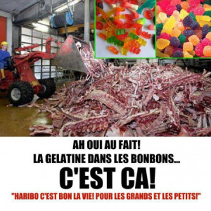 Ce qu'il y a dans les bonbons