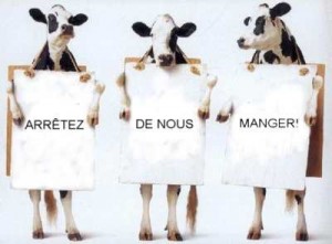 Vaches végé